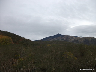 lto del Cane18-11-2012 09-32-10